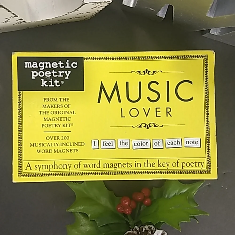 NWT Music Lover ❤️ magnetic poetry kit, over 200 music-themed magnets!